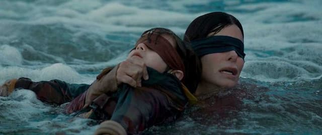 13 Haunting Books Like Bird Box
