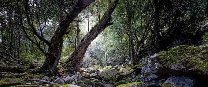 national park, the site of multiple murders