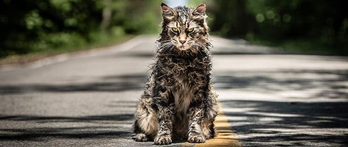 pet sematary stephen king