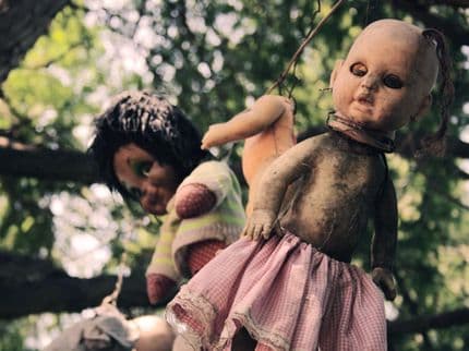 Journey to the Island of the Dolls