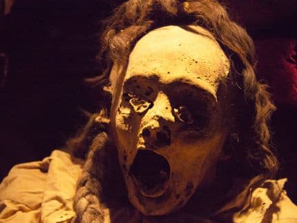 The Mummy Museum of Guanajuato