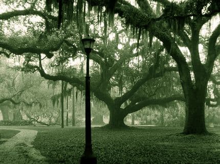 9 Most Haunted Places in New Orleans