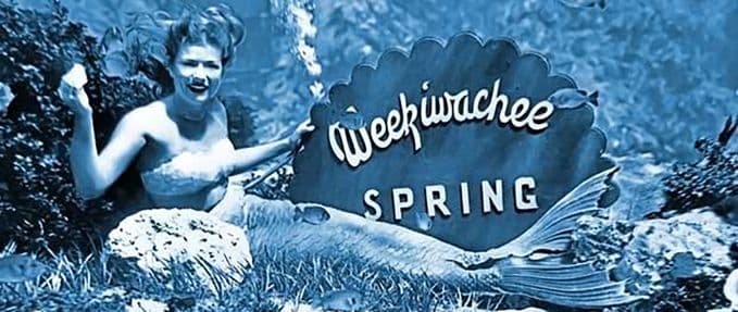 The Enchanting Real Mermaids of Weeki Wachee Springs