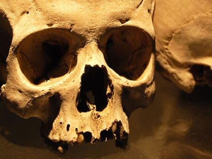 4 Freaky Cases of Skeletons Found in Unlikely Places