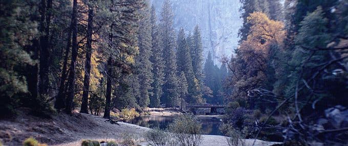 haunting yosemite park