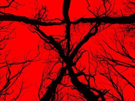 Everything We Know So Far About the Mysterious New Blair Witch Movie
