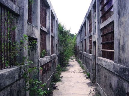 Coiba Island: A Haunted Prison in Paradise