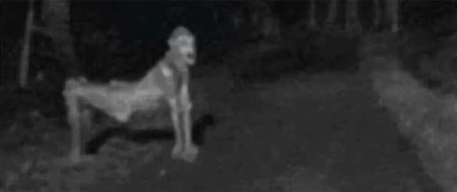 20 Terrifying Facts About the Skinwalker Legend