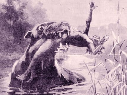 Bunyip: Australia’s Terrifying Cryptid of the Swamp