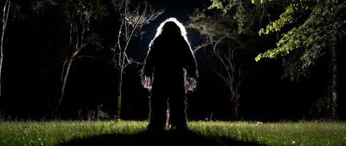 This New Paranormal Docuseries Stalks the Swamp for Bigfoot's Cousin