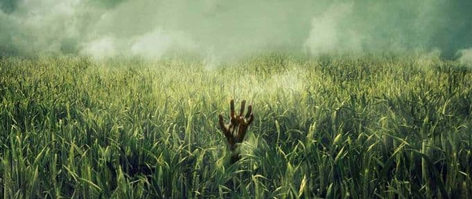 Watch the Creepy New Trailer for Netflix's Stephen King and Joe Hill Horror Movie Adaptation, In the Tall Grass
