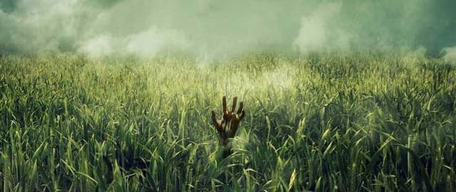 Watch the Creepy New Trailer for Netflix's Stephen King and Joe Hill Horror Movie Adaptation, In the Tall Grass
